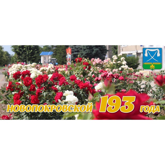 IMG 4635