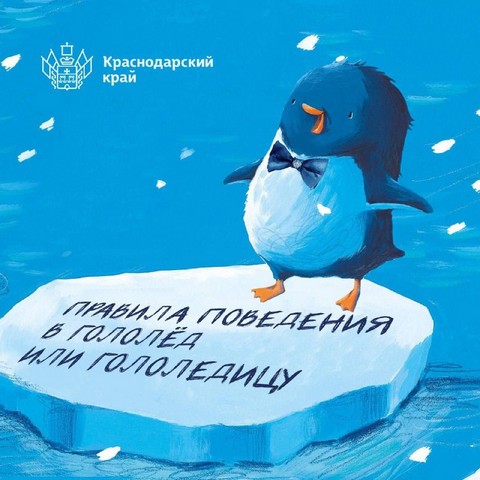 moroz dobralsya do krasnodar 1