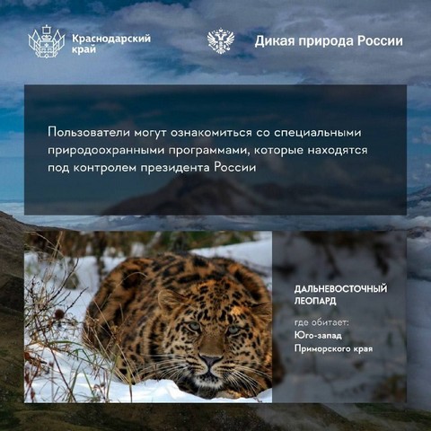 dikaya priroda russia 3