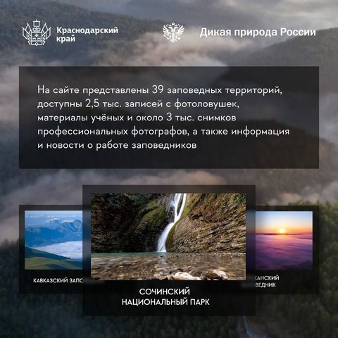 dikaya priroda russia 4