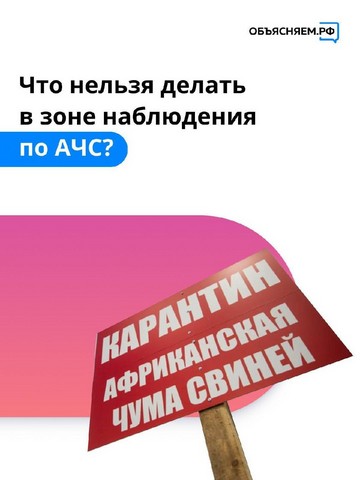 karantin chuma 1279 1