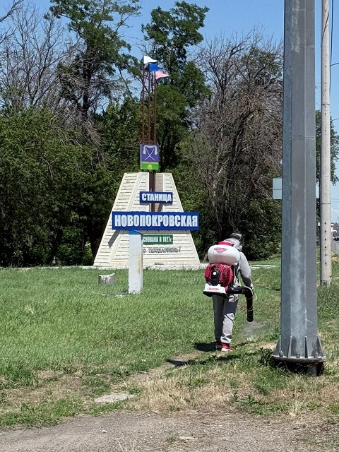 photo 5411428948241415186 y