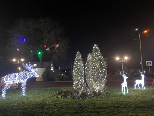 photo16732598