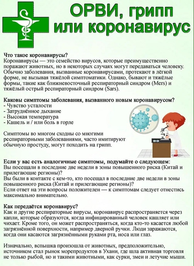 photo1673266825