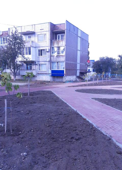 FFF IMG 7533 5