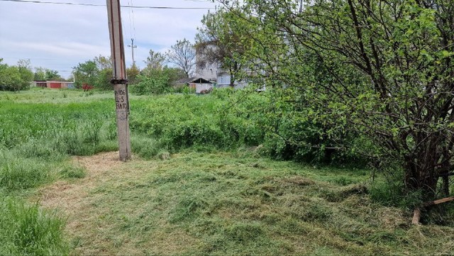 1Sd303