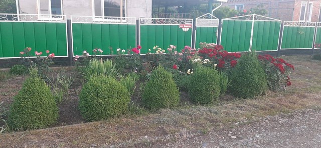photo5334617907738555541