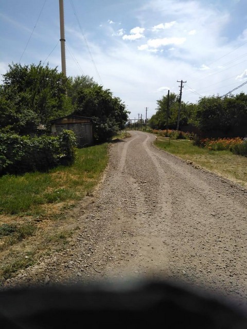 photo165476