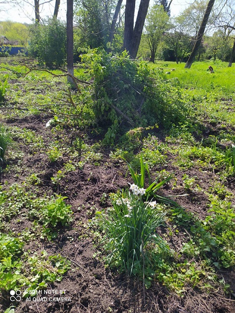 photo5251216368769020898