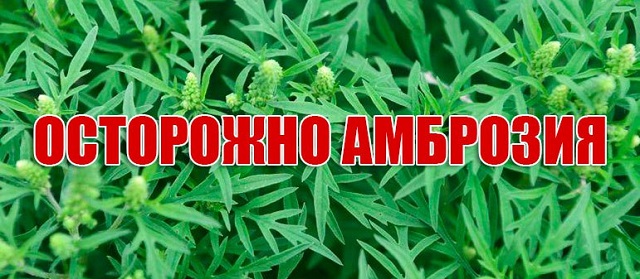 photo1654502507