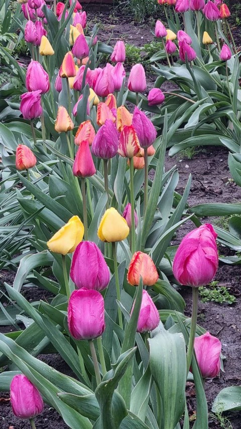 foto 1505 05