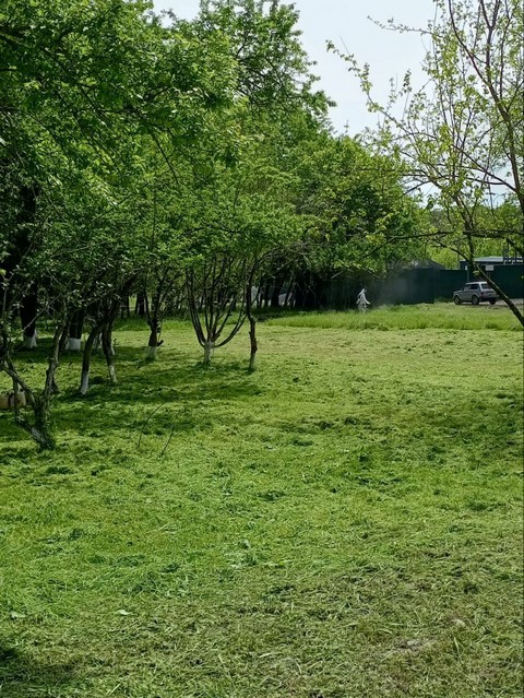 img 1305 02