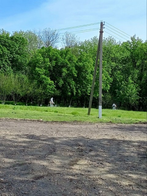 img 1305 03