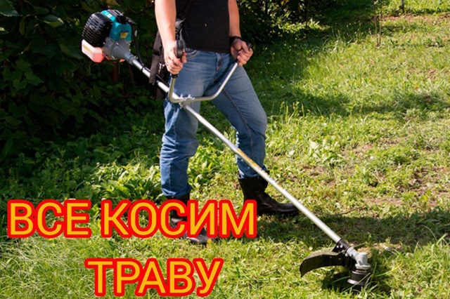 kosim travy 1205