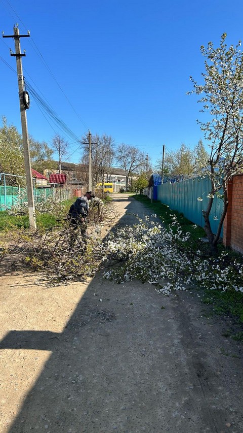 photo 16042025 04