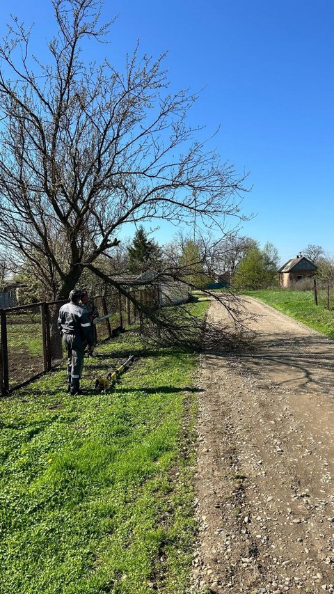photo 16042025 05