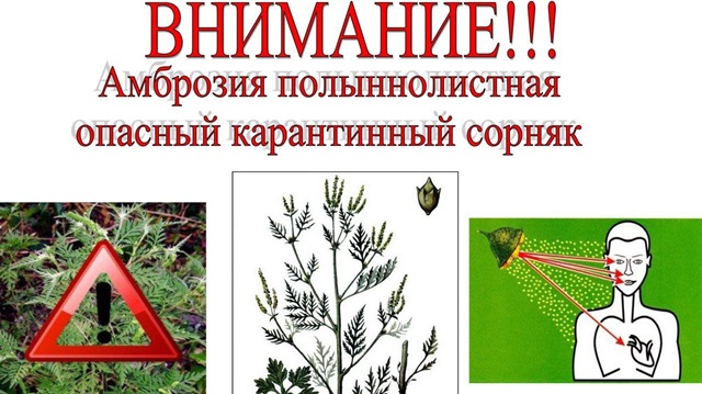 foto 2025 05 13 14 51