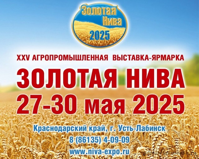 foto 2025 05 13 15 12