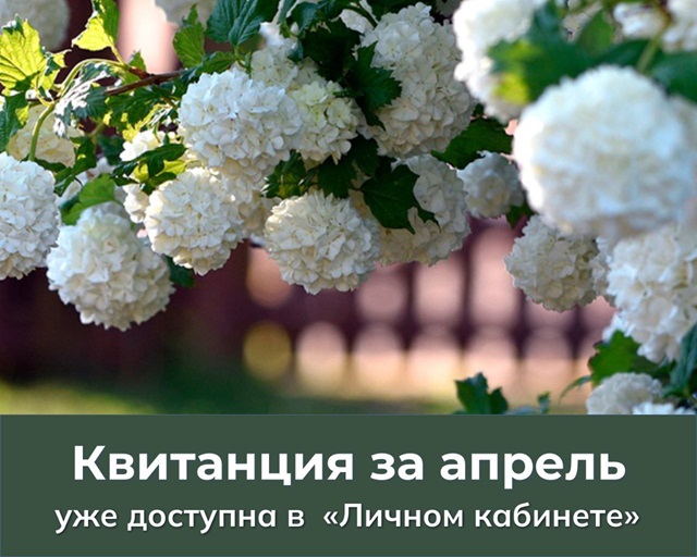 foto 2025 05 14 13 50