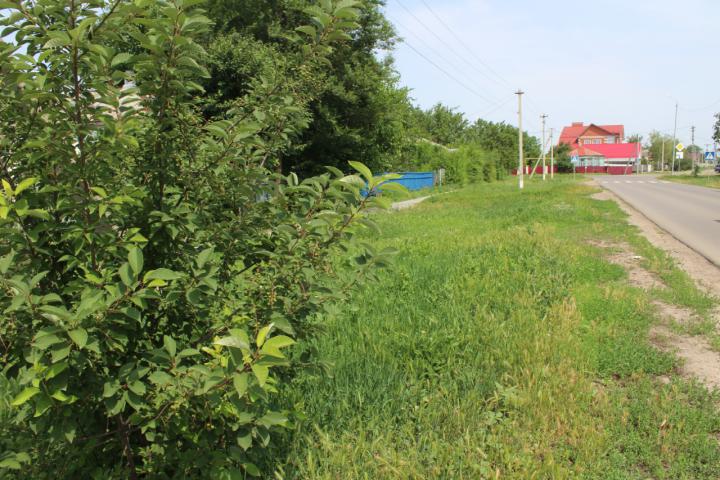 IMG 9711